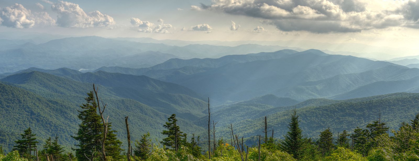 Escritor Lellis Oliver